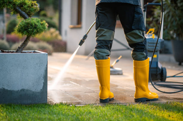 Best Power Washing Near Me  in West Branch, MI